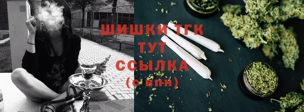 тгк Абинск