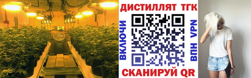 как найти закладки  Альметьевск  дарк нет как зайти  Дистиллят ТГК жижа 